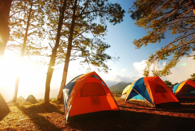 Outdoor Activities